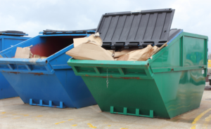 house-cleanup-skips-1500